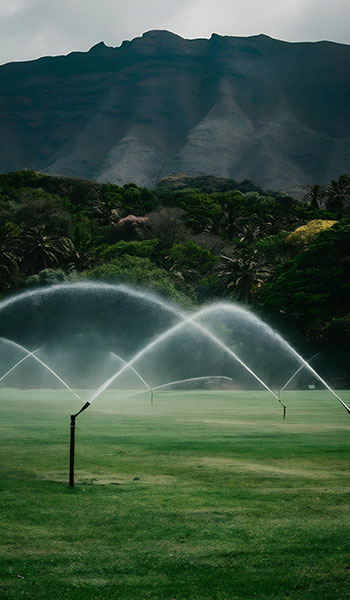 irrigation